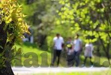 麻豆短视频app官网安卓下载-了解麻豆短视频APP，一个最新司法警示