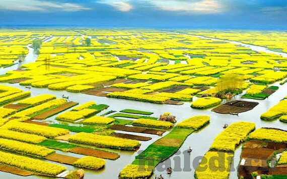 亚洲成人在线视频播放-亚洲成人在线视频播放，文化、社会与法律视角的深度探讨